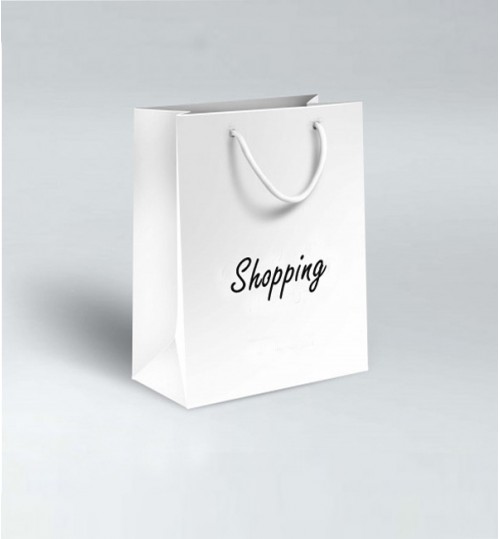 White Cardboard Paper Bag With Handle